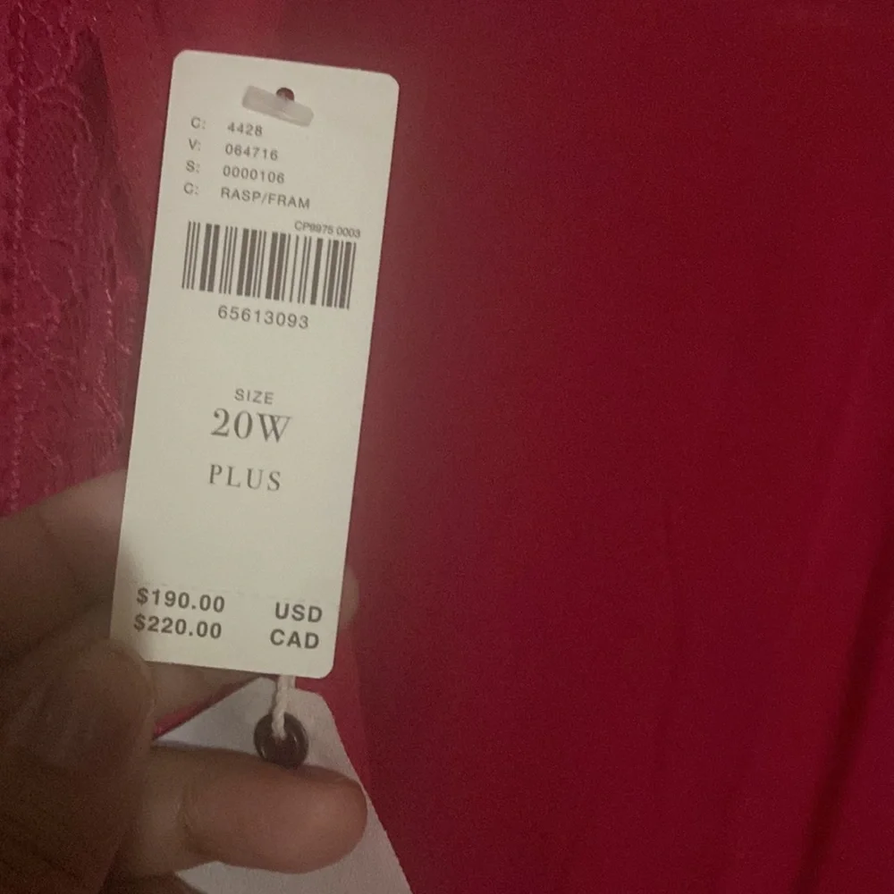 Maeve Open-Back Lace Mini Dress - Picture 3 of 4